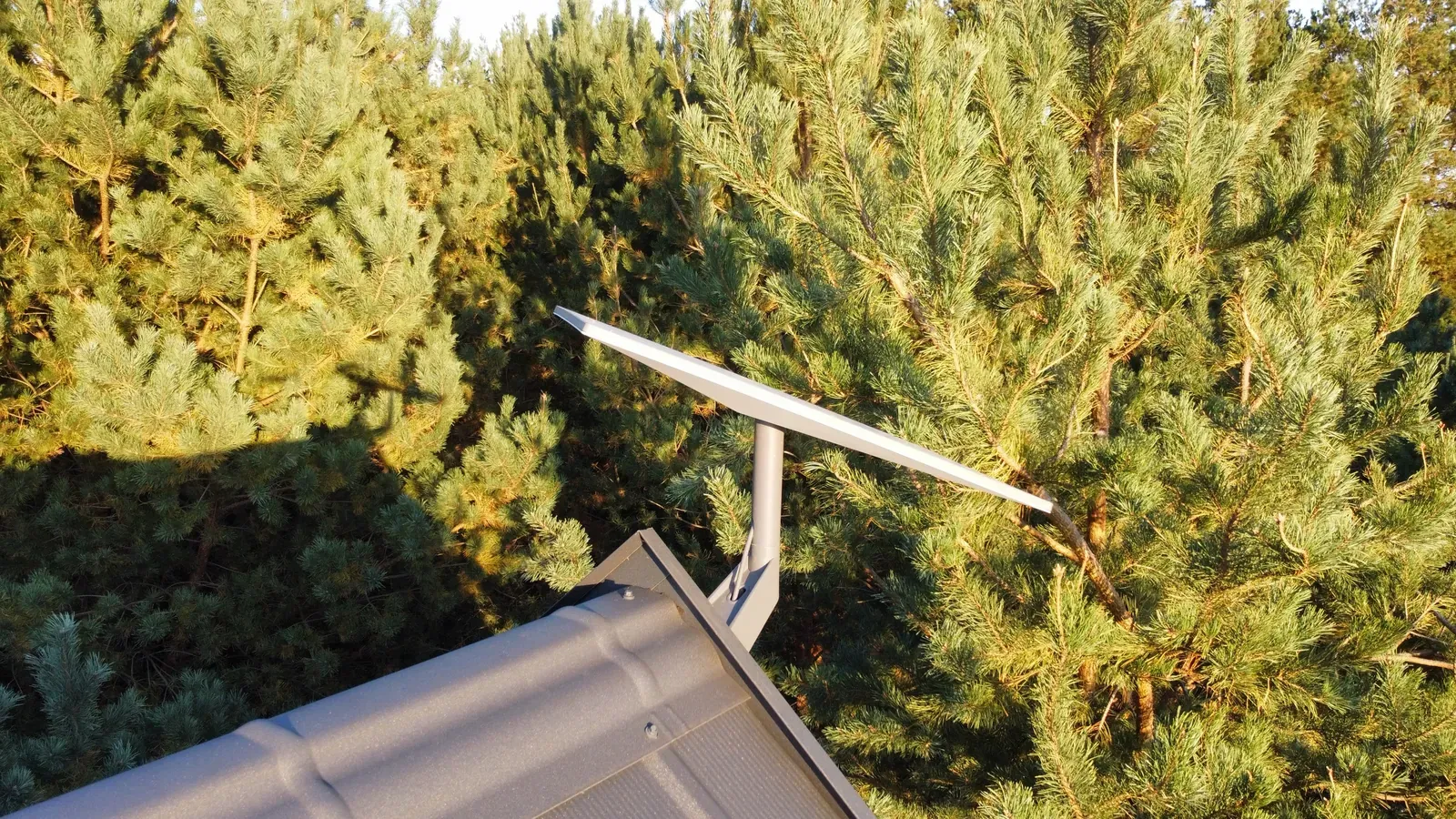 Antena Starlink przy kalenicy dachu, tuż obok wysokich sosen